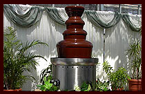 Charlotte chocolate fountain